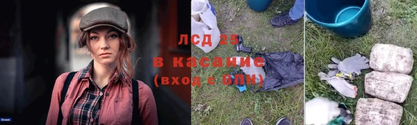прущие крисы Ельня