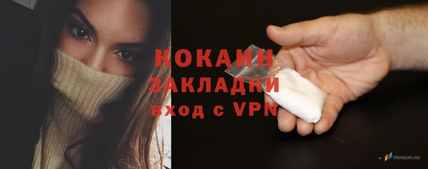 прущие крисы Ельня