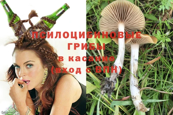 сатива Елизово