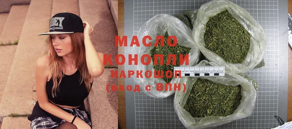 прущие крисы Ельня
