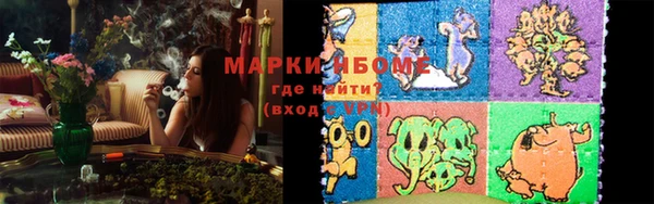 сатива Елизово