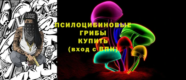 сатива Елизово