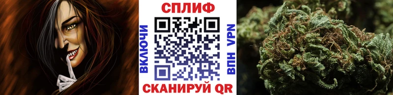 Каннабис SATIVA & INDICA  Купить закладки  Волосово 